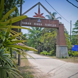 taman rimba