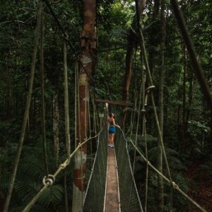 taman