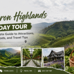 Cameron Highlands Day Tour Complete Guide to Attractions, Costs, and Travel Tips